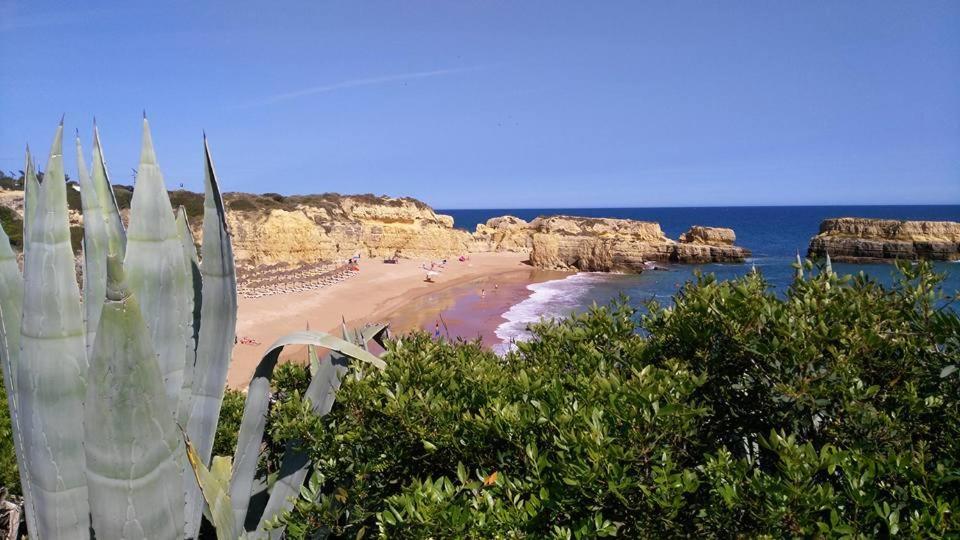 Villa Lena Αλμπουφέιρα Εξωτερικό φωτογραφία