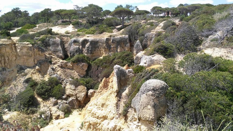 Villa Lena Αλμπουφέιρα Εξωτερικό φωτογραφία