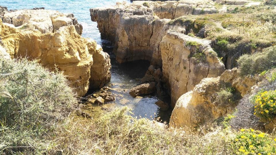 Villa Lena Αλμπουφέιρα Εξωτερικό φωτογραφία