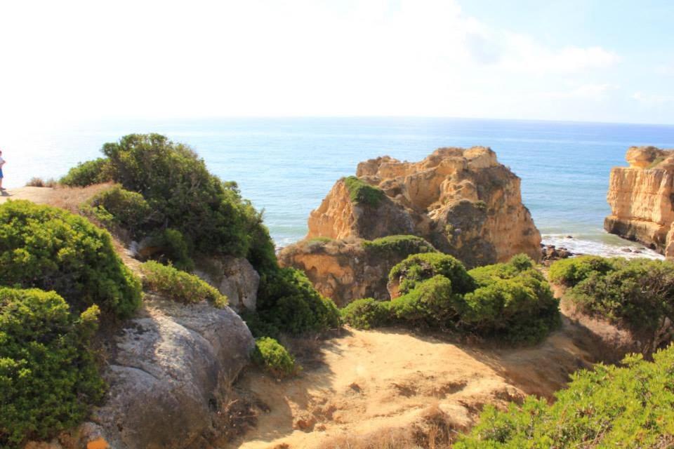 Villa Lena Αλμπουφέιρα Εξωτερικό φωτογραφία